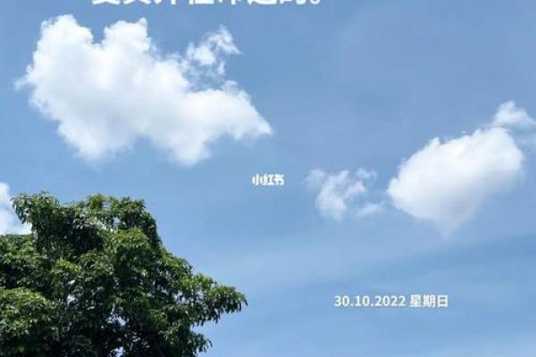 命里无子之人：探索命运的深层含义与生命的另一种高度