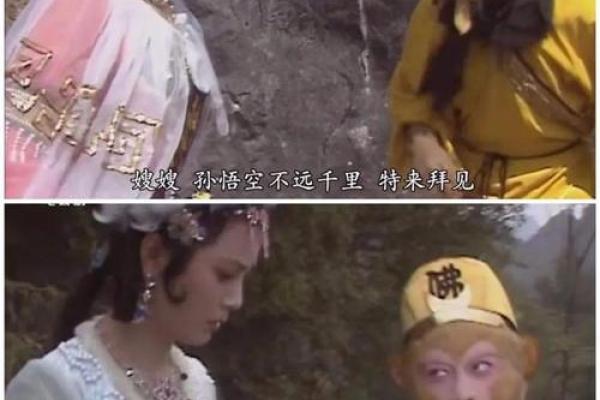 2016年：火猴年与生于猪年的命运探索