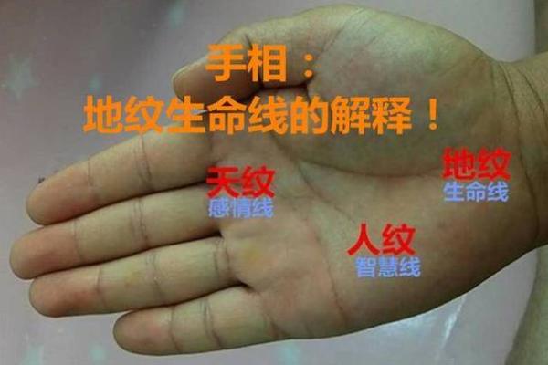 命相相结合:解读手相与命运的千丝万缕联系 命相相结合:解读手相与命运的千丝万缕联系