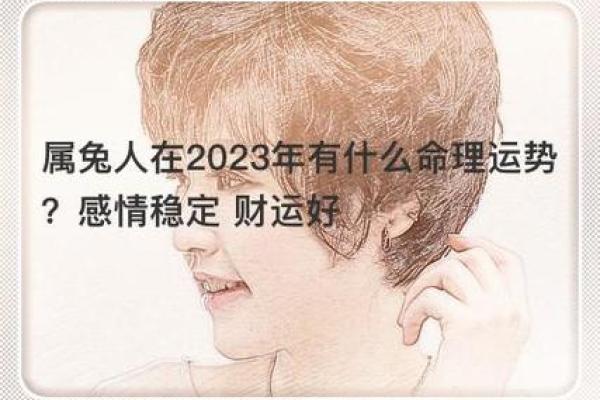 2023兔年运势解析：了解兔年命理与生活智慧，助你迎接新机会