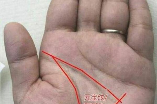 命相相结合:解读手相与命运的千丝万缕联系 命相相结合:解读手相与命运的千丝万缕联系