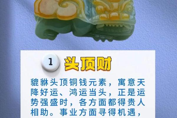 貔貅是怎样的命人戴？揭开神秘护符的面纱！