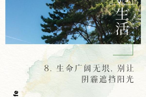 2017年11月17日出生的人命运解析：如何把握人生每个瞬间
