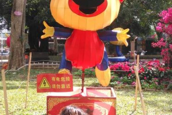 2019年：大吉大利的岁月，属于“土猪”命的丰盈生活