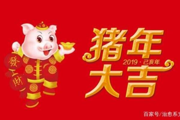 2019年：大吉大利的岁月，属于“土猪”命的丰盈生活