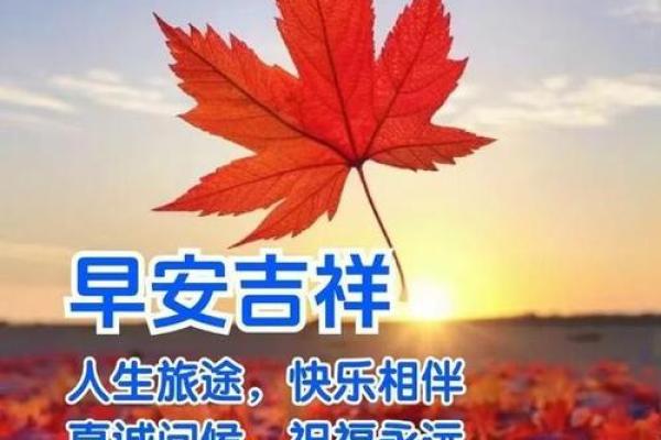 1987属猪人的命运解析：如何在生活中收获幸福与成功