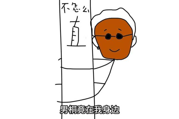2012年马宝宝命运解析：勇敢、独立与坚定的象征