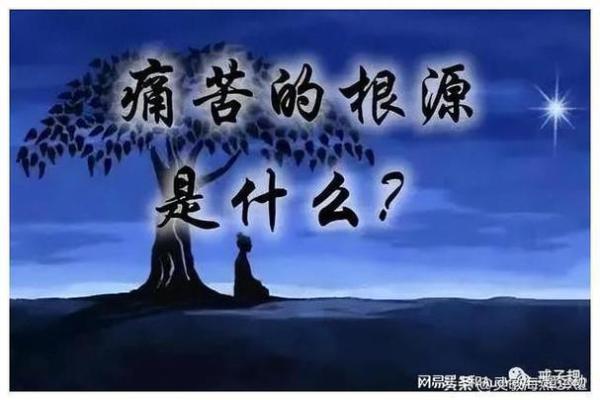 探索劳力命与劳心命：生活的两种智慧与选择