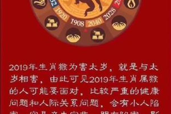 2019年属鼠命运解析：揭秘你的性格与发展方向