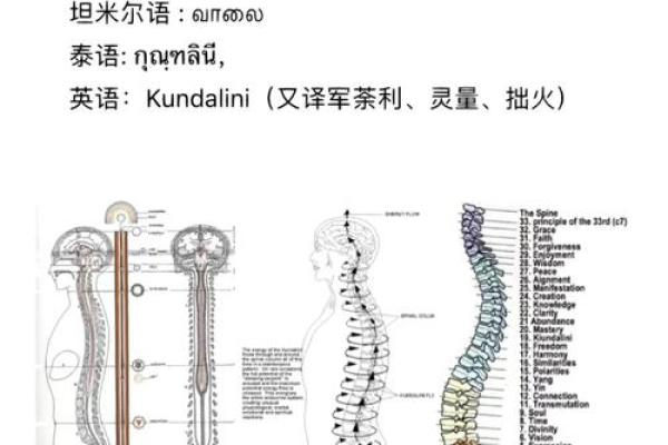 根据什么命什么悬成语大全：潜藏于语言中的智慧与趣味