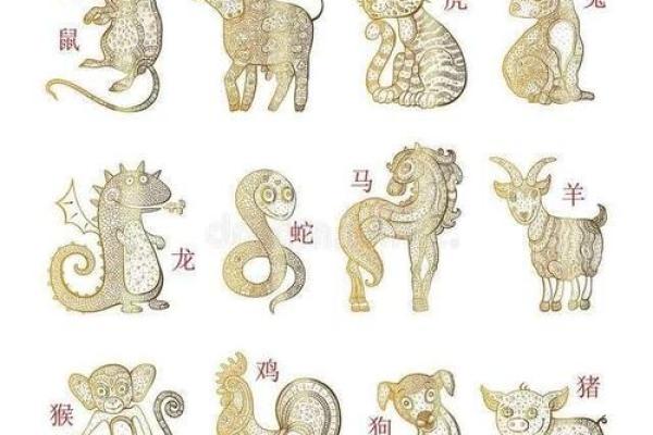 70岁生肖命理揭秘：揭开生命中的奥秘与运势