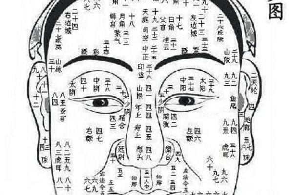 什么下巴决定命运，如何通过面相改善人生运势？