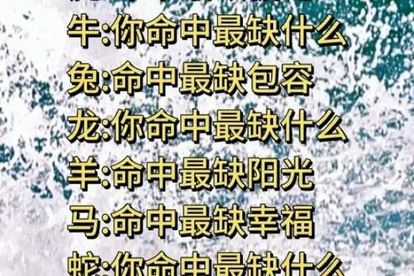 探秘命理中的“命”：命运之源的深层含义与启示