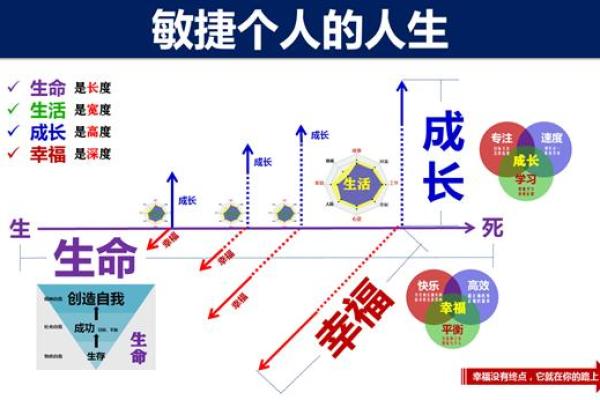 1973年出生的人命运解析：性格、职业与人生幸福之道