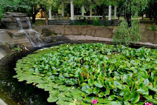 桃花之命:揭示命格中的浪漫与情感密码 桃花之命:揭示命格中的浪漫与情感密码