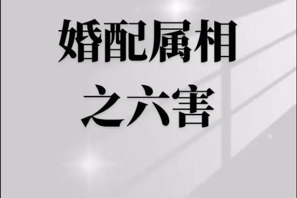 寅虎与亥猪的命理解析：两者相遇的深意与启示
