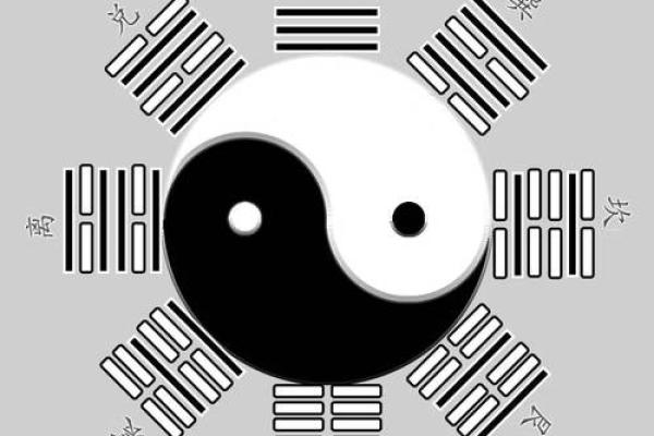 女命五两五钱的命理解析与人生启示