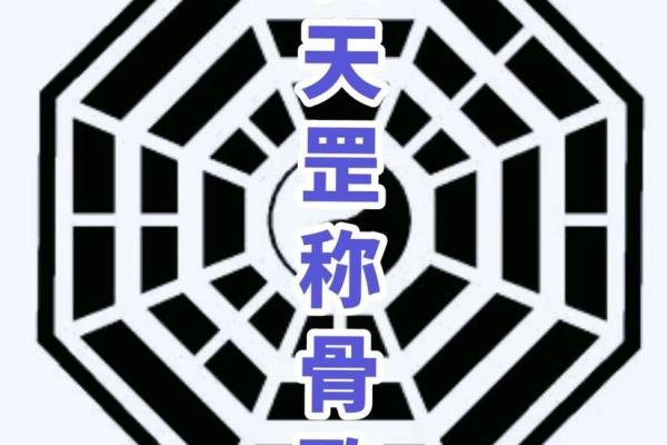 女命五两五钱的命理解析与人生启示