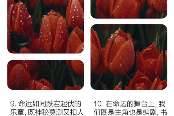 命运如棍，人生皆掌握：从“棍子下面命”看生活哲学