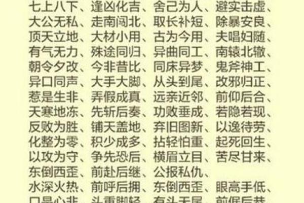 从心所欲，命运交织的成语世界