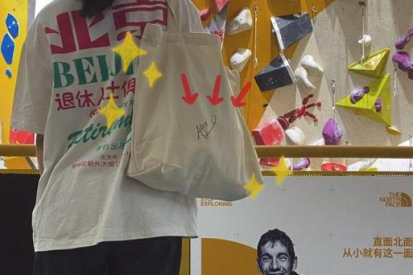 命巾车的命：探索命运与交通的奇妙联系