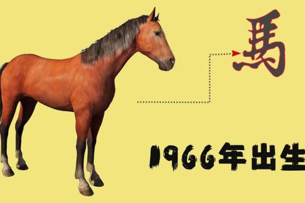 2002年出生的人:属马人的命运和性格分析 2002年出生的人:属马人的命运和性格分析