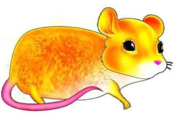 1884年属鼠的命运与性格解析：揭开鼠年人的神秘面纱