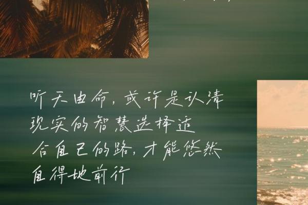 命运的奥秘：探索普通人的命运与生活哲学