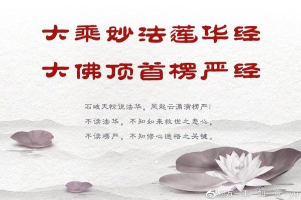 法师的法身与慧命：探寻内心的智慧与力量