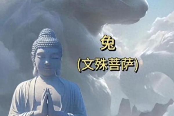 2023年的兔年运势与命格解析:带你揭开兔年的神秘面纱 2023年的兔年运势与命格解析:带你揭开兔年的神秘面纱