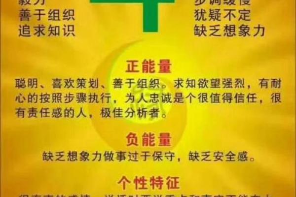根据出生日期看命运,了解你的生命密码! 根据出生日期看命运,了解你的生命密码!