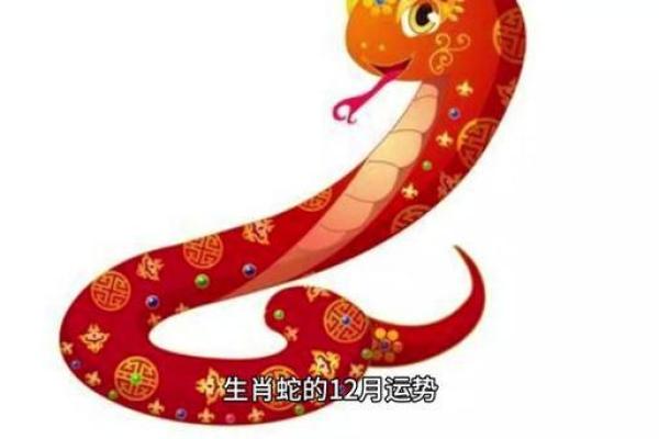 2014年属蛇人运势解析:揭秘你的命运与人生机遇 2014年属蛇人运势解析:揭秘你的命运与人生机遇