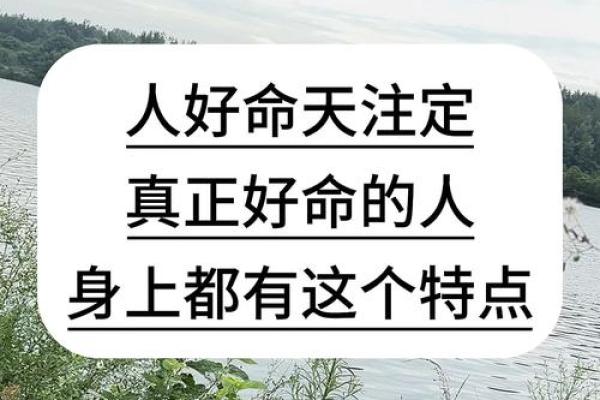 1997年出生的人命运解析：为何他们注定与众不同？