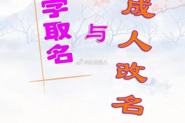 如何通过命理分析找到个人缺失及其补救之道