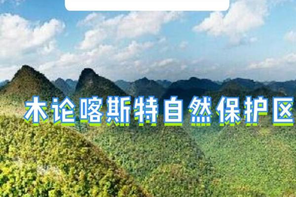 五行属木命：探秘自然之灵与人生的和谐之道