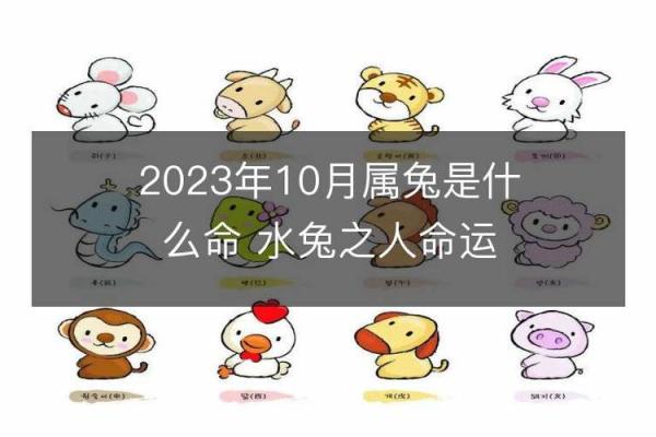 兔年出生者的命运解析：探讨2011年兔年的幸运与挑战