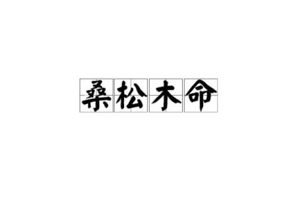 松树命的人适合从事哪些职业？探索命理与职业的完美结合