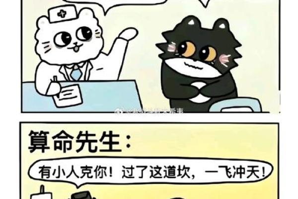 松树命的人适合从事哪些职业？探索命理与职业的完美结合