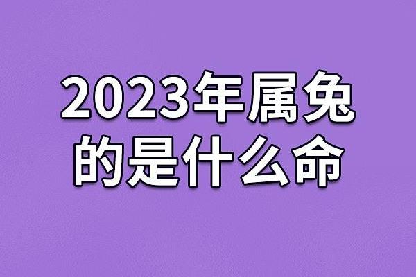 1975年出生的兔子命运解析:乐观与智慧的结合 1975年出生的兔子命运解析:乐观与智慧的结合