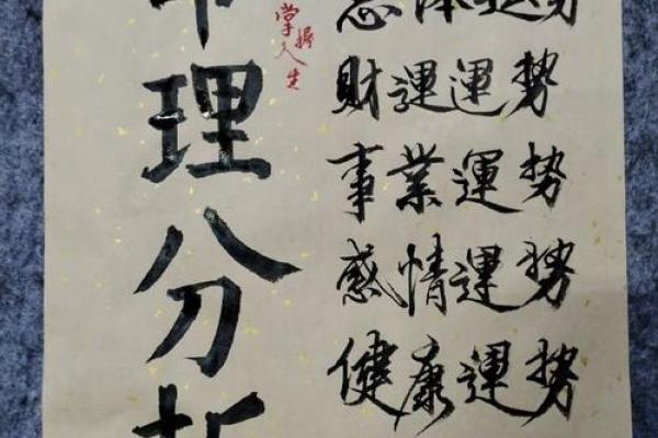 探寻九紫离命东四命的奥秘：寻找你的命理方向