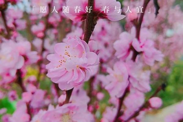 2011年5月，春日暖阳下的心灵旅程与感悟