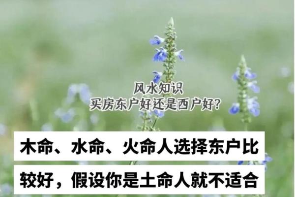 探寻木命与水命的神秘联系：和谐共生的五行法则