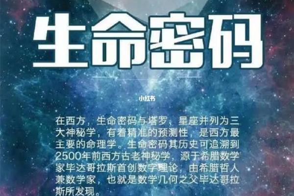 农历十二月二十四命理解析：揭示岁末的神秘密码