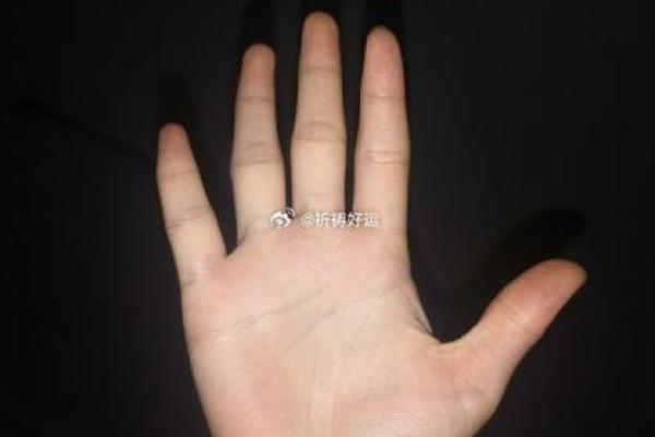 19841120：探秘人生密码与命运轨迹的奥秘