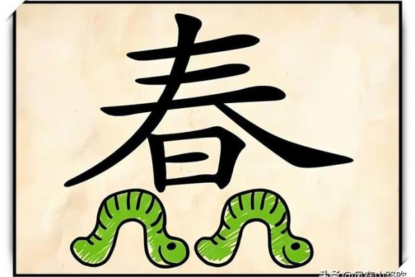 命运的丝线：成语背后的智慧与故事