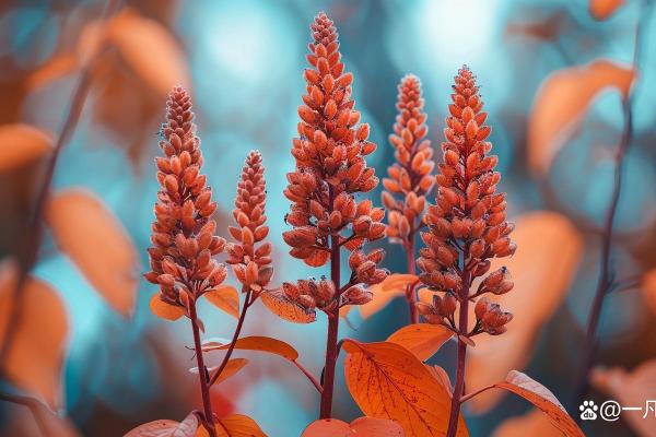 大富大贵命：命理解读与人生幸福之路