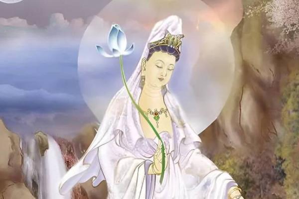 1970年属鼠人的命运与人生之道探秘