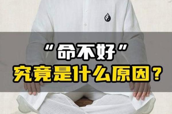 命好小孩命不好，这背后有什么神秘的说法？解读命理与教育的关系