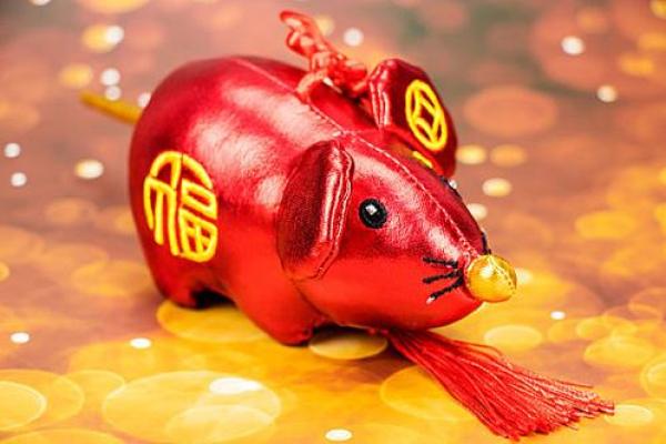 1995年是鼠年，属木鼠，命带亮色的吉祥象徵