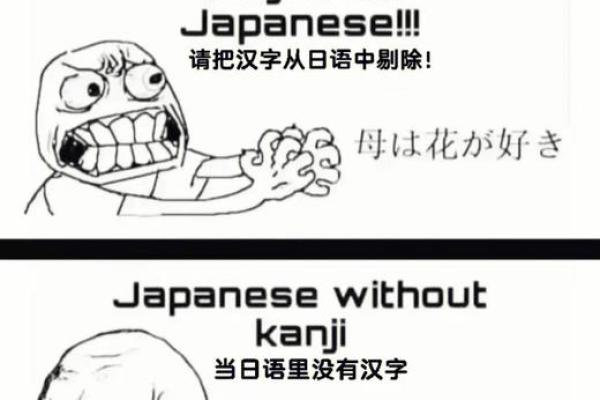 探寻日语中的“命指”——解读汉字与日常生活的微妙关系
